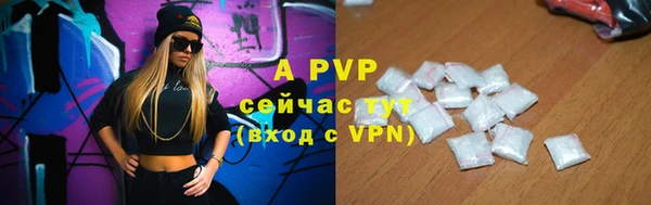 ПСИЛОЦИБИНОВЫЕ ГРИБЫ Бородино
