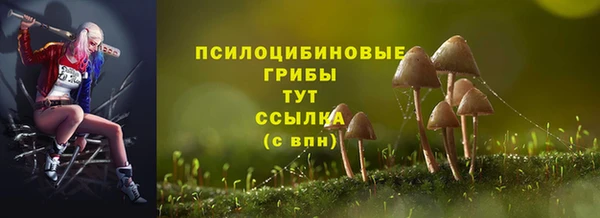 ПСИЛОЦИБИНОВЫЕ ГРИБЫ Бородино