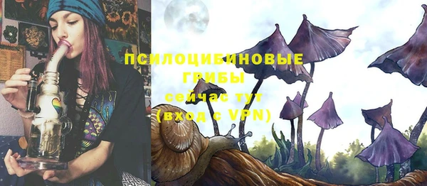 дживик Бугульма