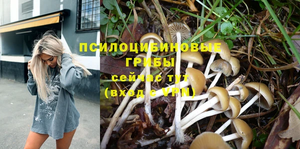 ПСИЛОЦИБИНОВЫЕ ГРИБЫ Бородино