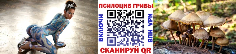 Псилоцибиновые грибы Cubensis  Выборг 