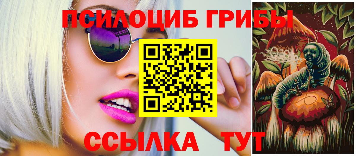 Галлюциногенные грибы мицелий  Псилоцибиновые грибы Psilocybe  Вход с VPN  Выборг 