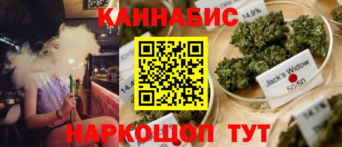 Бошки марихуана гибрид  Конопля White Widow  Бошки Шишки SATIVA & INDICA  Вход с VPN  Выборг  МАРИХУАНА сатива 